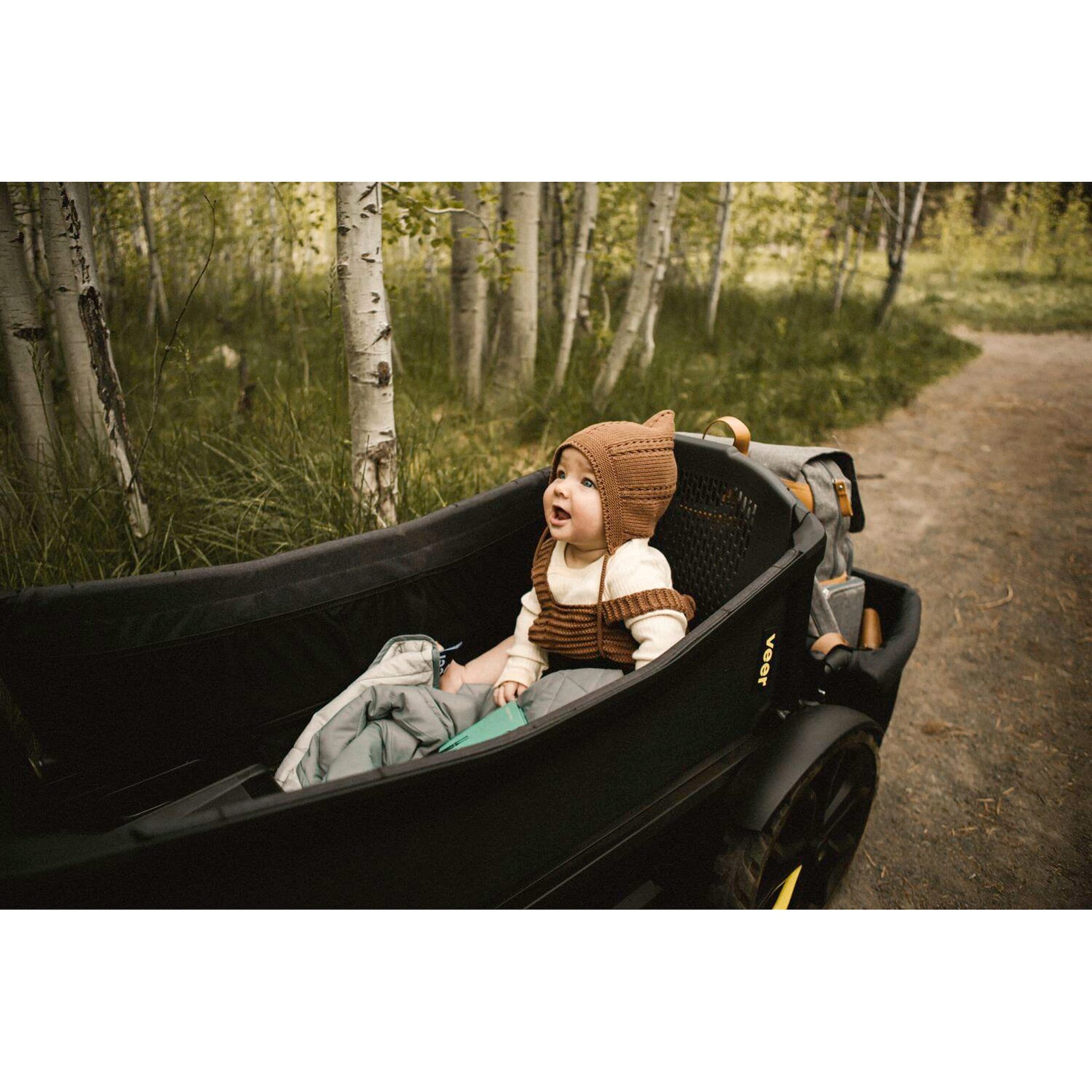 Veer Bollerwagen Cruiser online kaufen